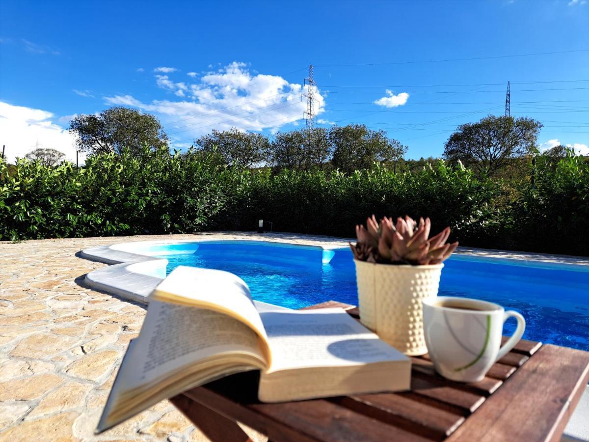 Modern Guest House Rak With Beautiful Pool Szybenik Zewnętrze zdjęcie